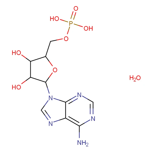 5'-AMP Monohydrate CAS 18422-05-4
